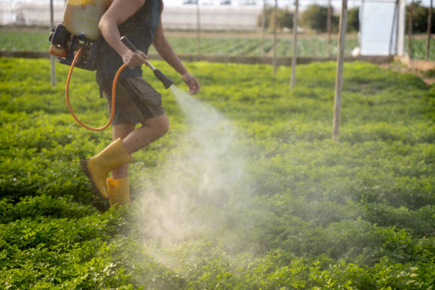 Best Pest Prevention Services  in Rossmoyne, OH
