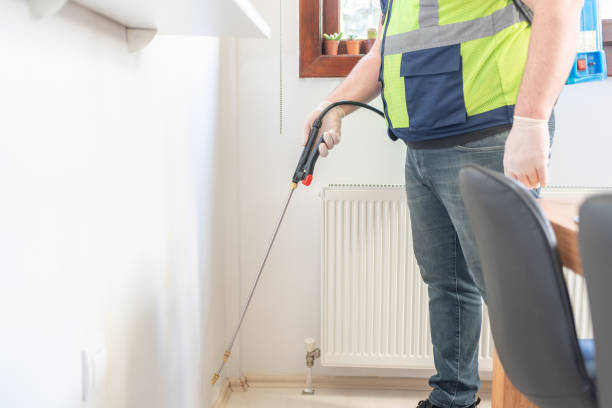 Best Termite Control Services  in Rossmoyne, OH