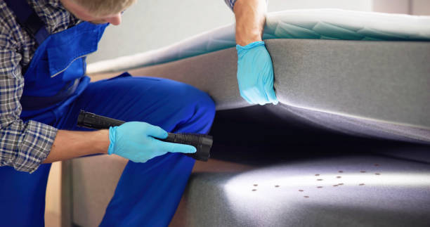 Best Best Pest Control Companies  in Rossmoyne, OH