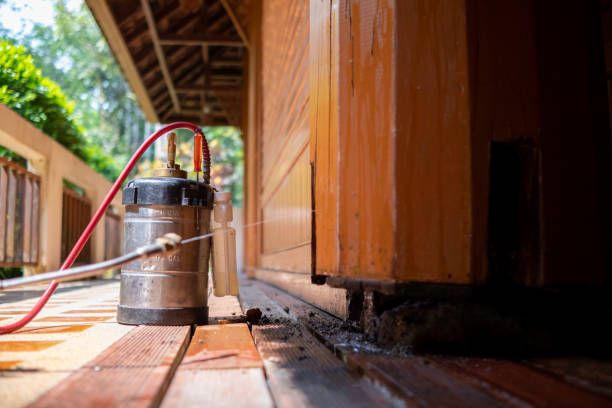 Best Affordable Pest Control Services  in Rossmoyne, OH