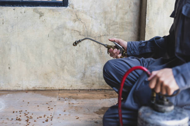 Professional Pest Control in Rossmoyne, OH